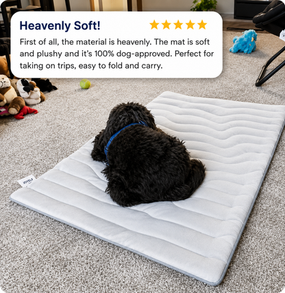 FrostNest™ Cooling Mat for Dogs & Cats