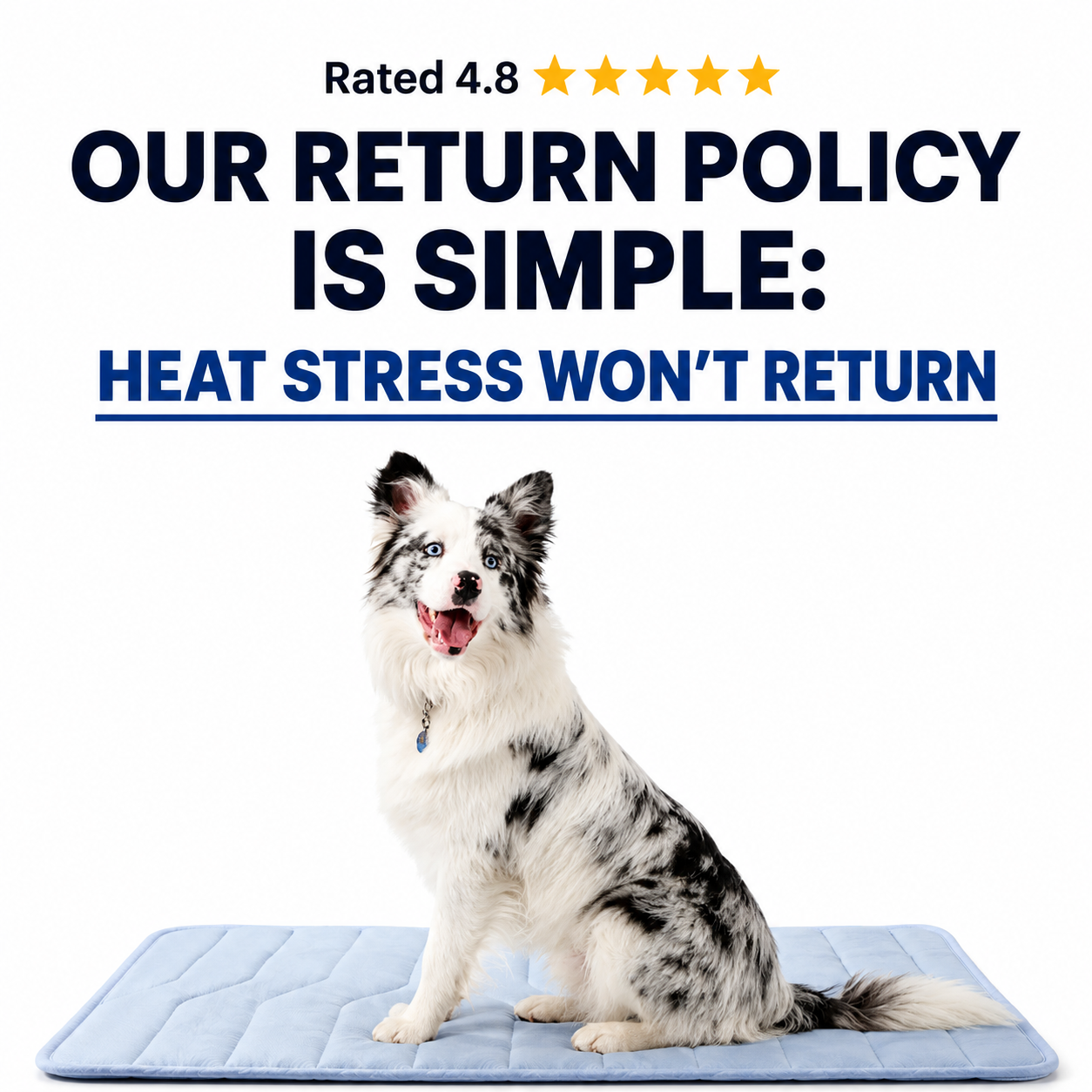 FrostNest™ Cooling Mat for Dogs & Cats