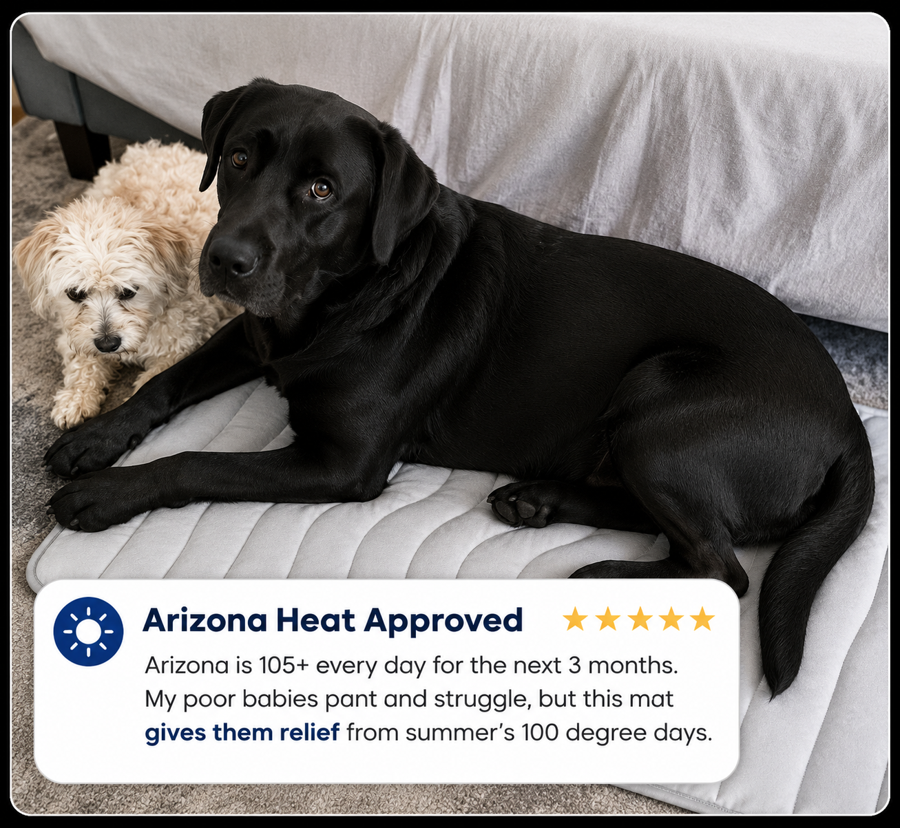FrostNest™ Cooling Mat for Dogs & Cats